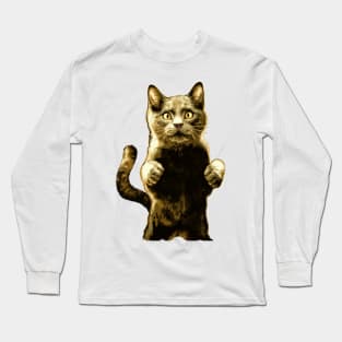 Cat cats cat lover kitty kitten Long Sleeve T-Shirt